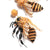 Deepa Gurnani handmade the Honeybee earrings in yellow color